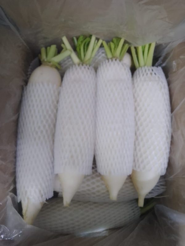 Radish