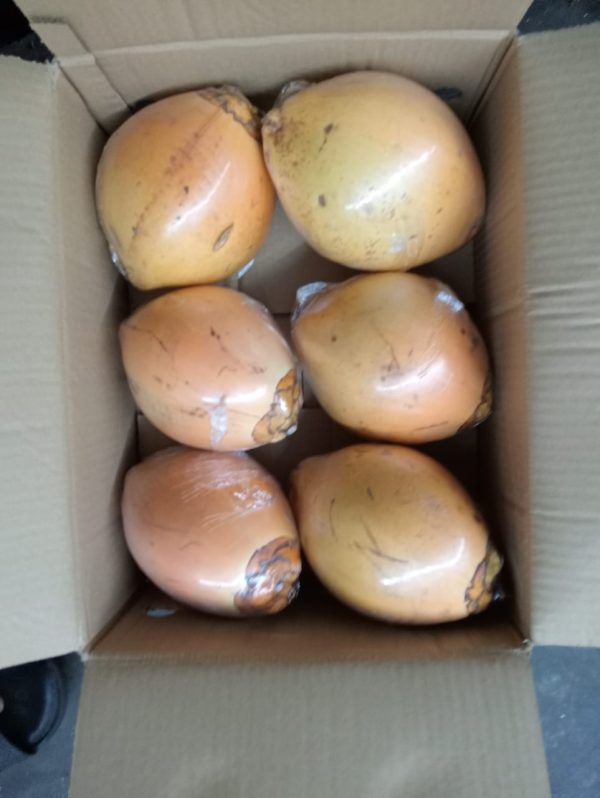 Coconut