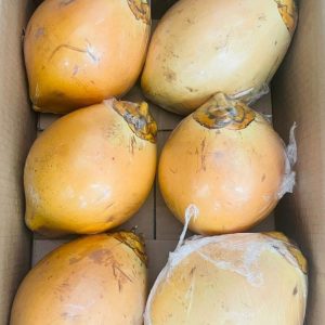 Coconut
