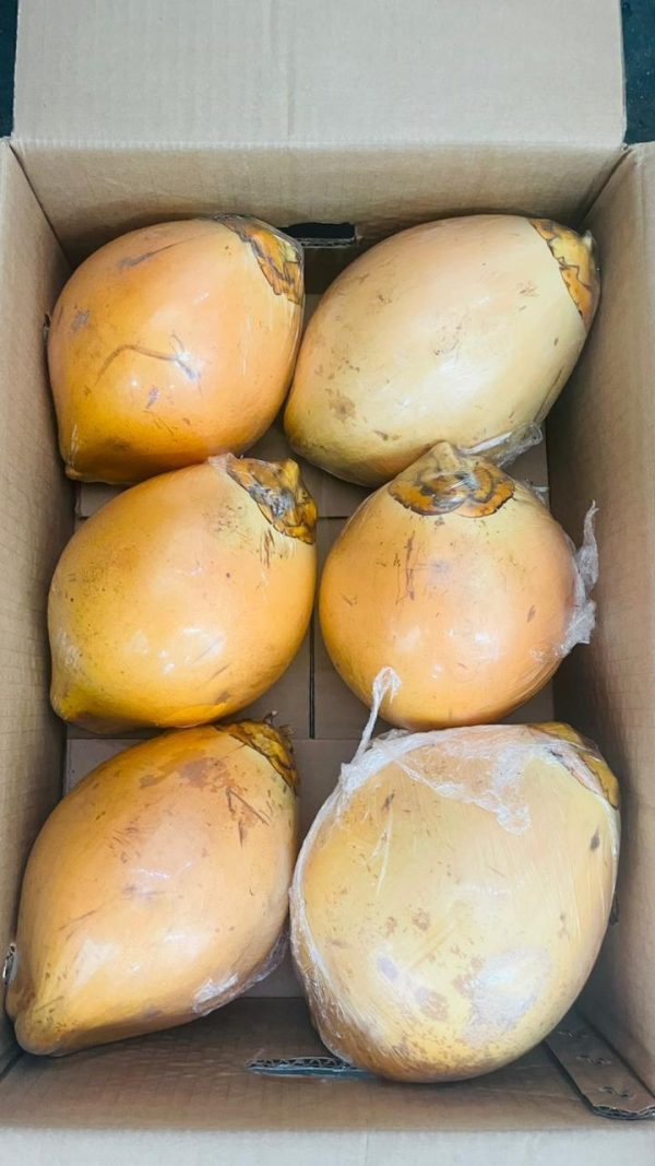 Coconut