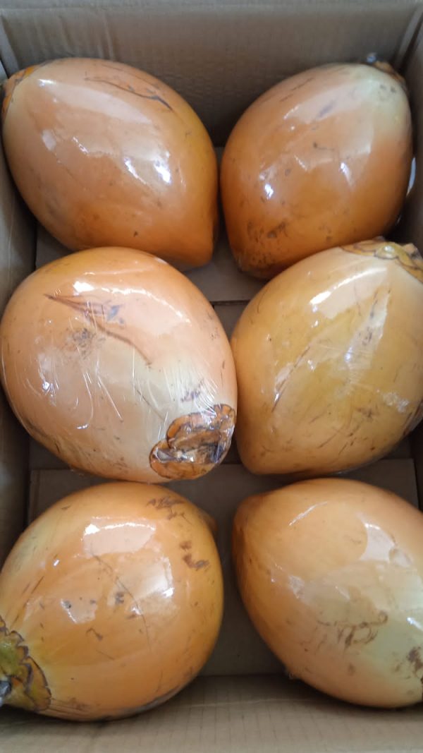 Coconut
