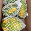 Papaya