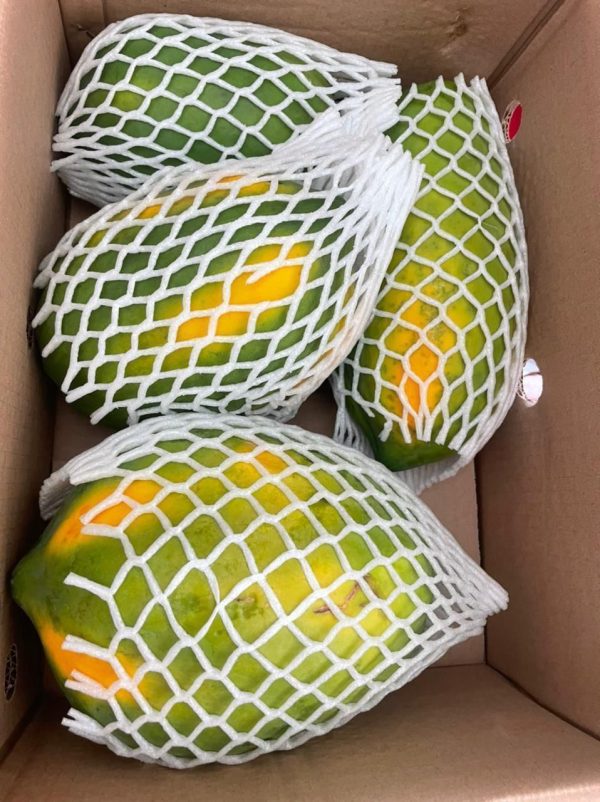 Papaya