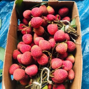 Lychee