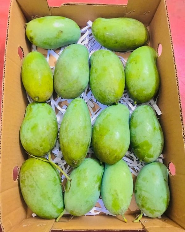 Mango