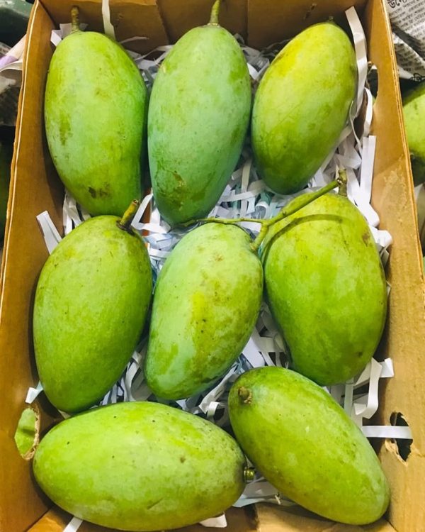 Mango