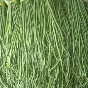 Yardlong Bean