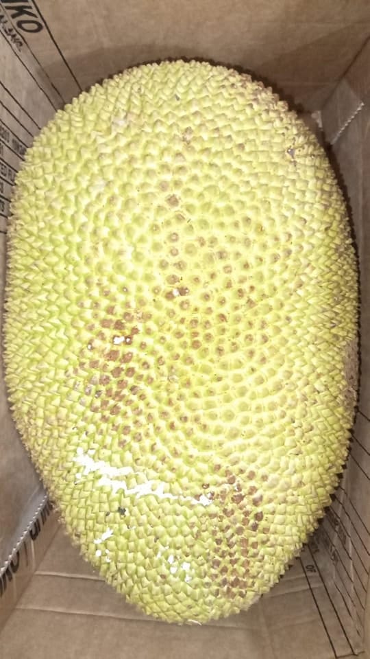 Jackfruit