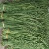 Yardlong Bean
