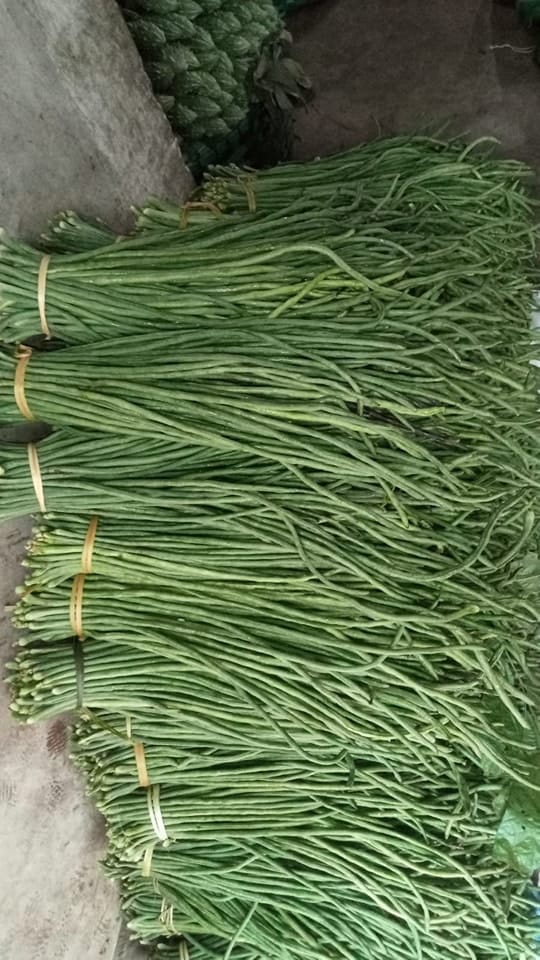 Yardlong Bean