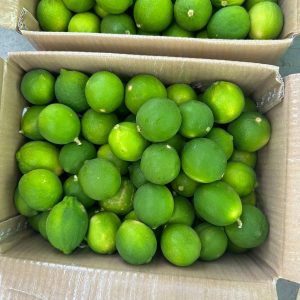 Lemon