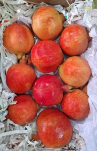 Pomegranate