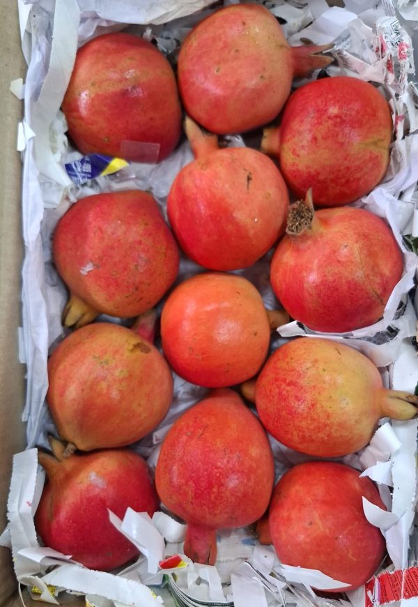 Pomegranate
