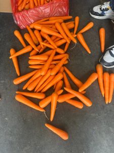 Carrot