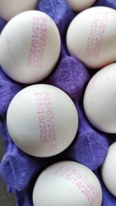 Egg