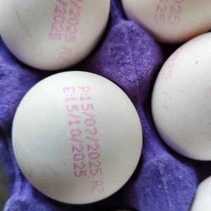 Egg