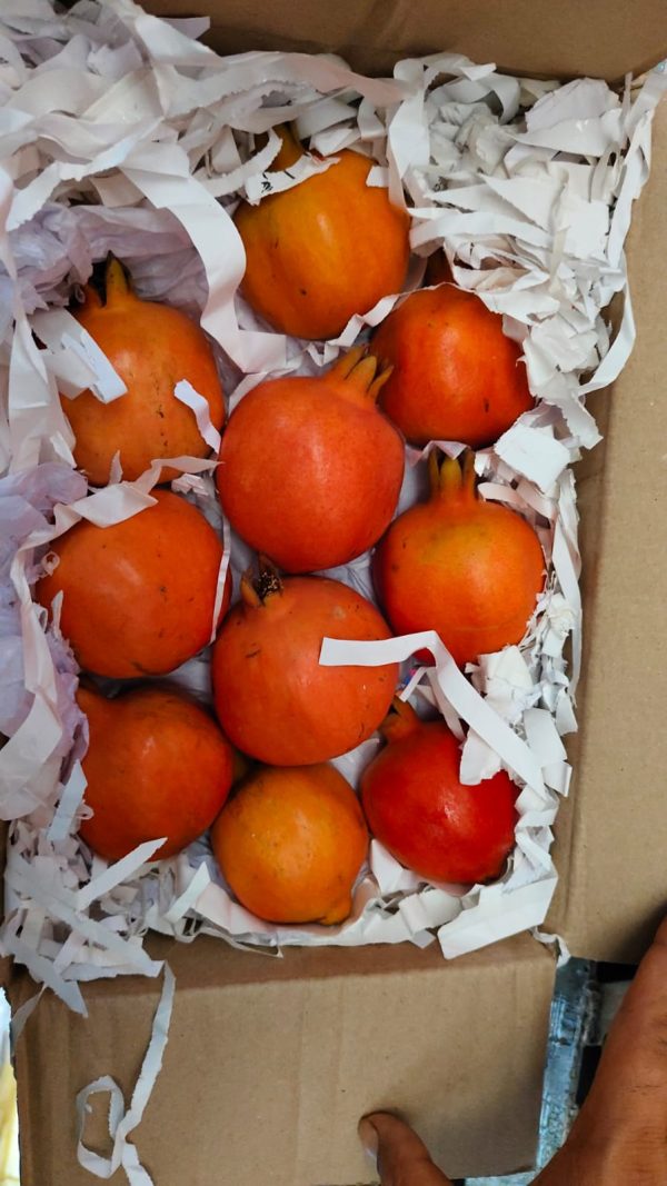 Pomegranate