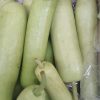 Gourd