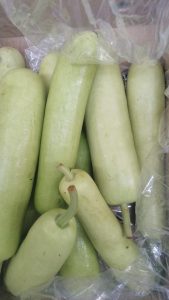 Gourd