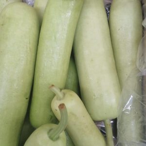 Gourd
