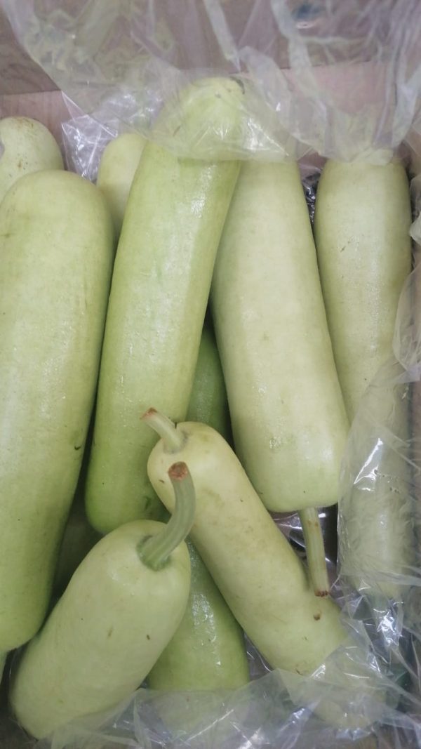 Gourd